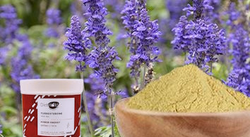 3 pots de Turkestérone