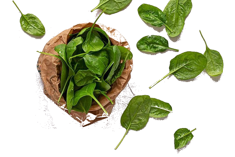 Chlorophylle