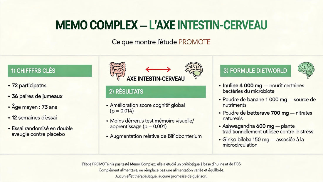 Le microbiote intestinal peut-il soutenir la mémoire ? Ce que révèle l’étude PROMOTe