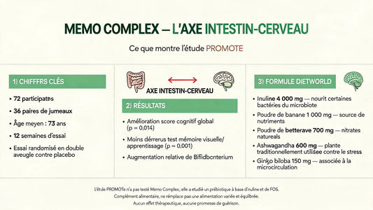 Le microbiote intestinal peut-il soutenir la mémoire ? Ce que révèle l’étude PROMOTe