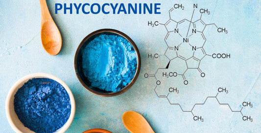 La phycocyanine