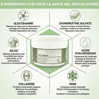 Flexi Complex - Cure arthrose Confort 1 Mois