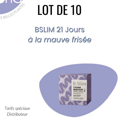 Lot 10 B.SLIM 21 jours Tisane minceur Transit Detox