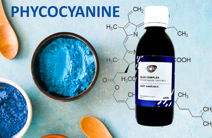 Blue Complex Phycocyanine 12000 mg/l