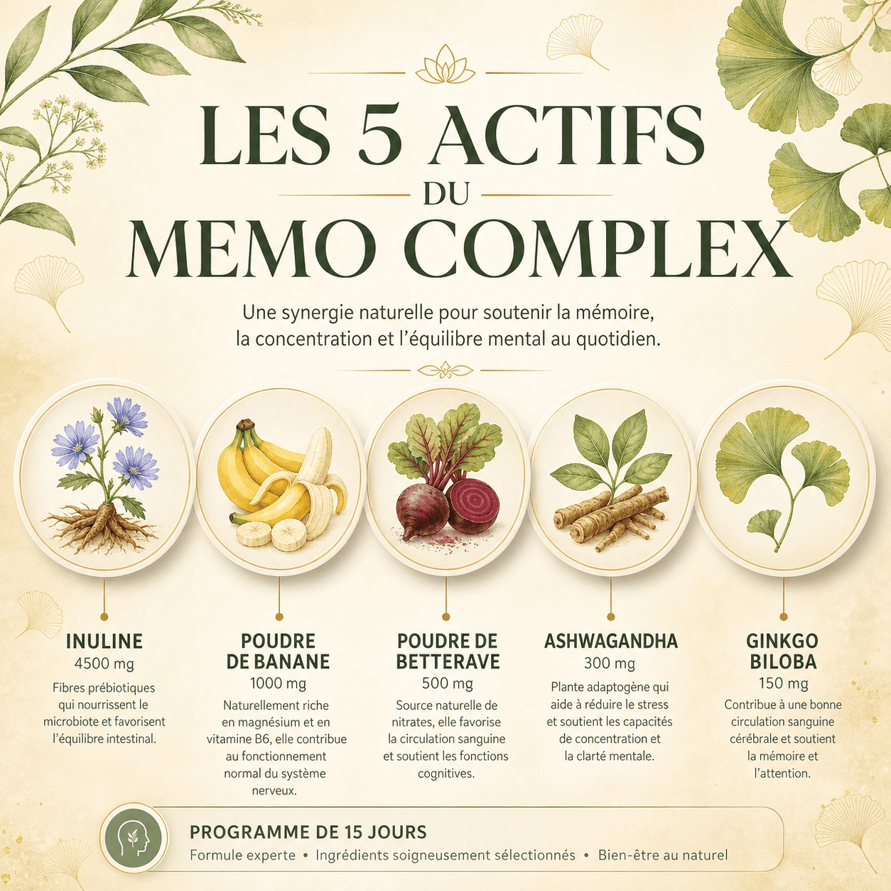 Mémo Complex - Soutien mémoire - Cure découverte