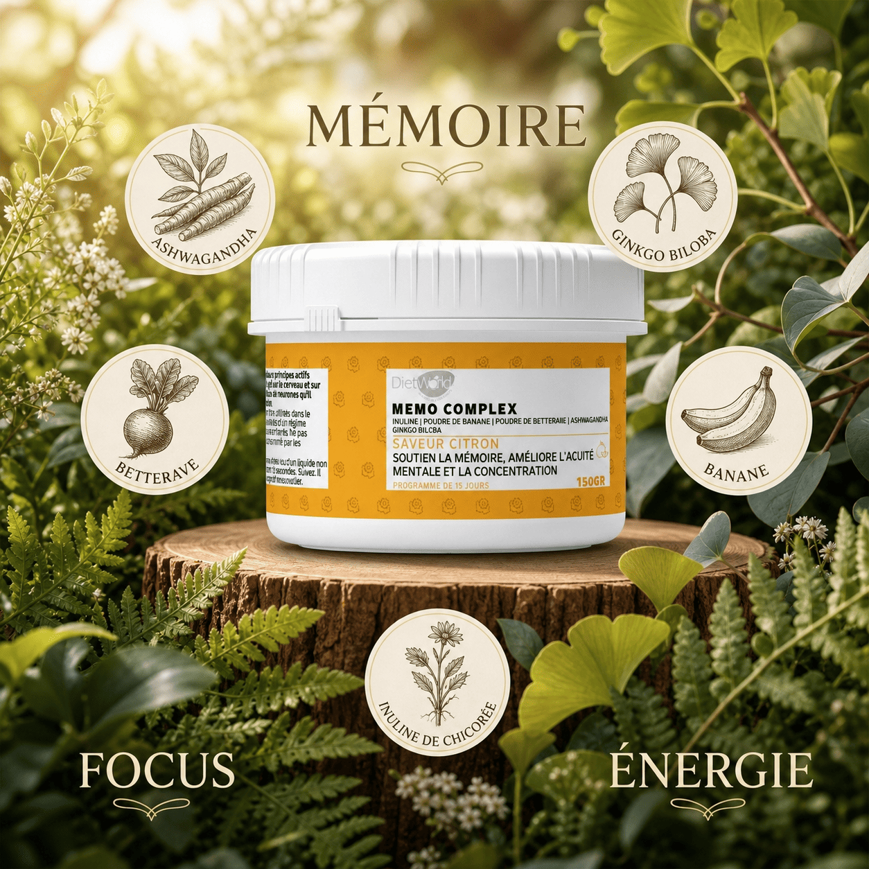Mémo Complex - Soutien mémoire - Cure découverte