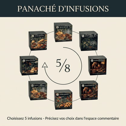 Infusions x5 panaché au choix BIO